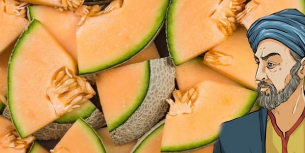 İbn-i Sina'nın yüz yıllar önceki yazdığı reçete: O besinin kabuklarını sakın çöpe atmayın! 5