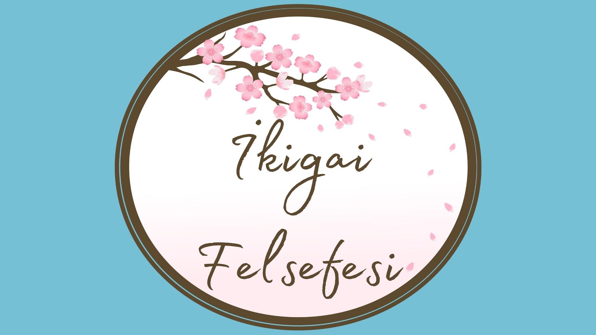 Asırlık insanlar uzun yaşamın sırlarını anlattı... 'Sürekli yatmayı sevmem, saat 6'dan sonra ağzıma lokma atmam' 14