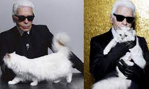 Dünyanın en zengin kedisi milyonluk mirasına kavuşmayı bekliyor 3