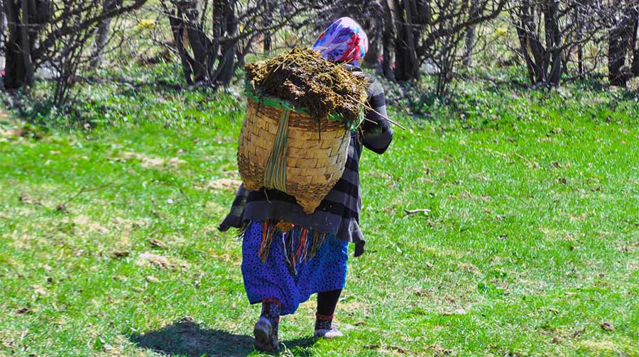Asırlık insanlar uzun yaşamın sırlarını anlattı... 'Sürekli yatmayı sevmem, saat 6'dan sonra ağzıma lokma atmam' 10