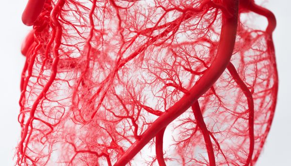 Herkes bilmez! Ar damarı bakın neredeymiş... 3