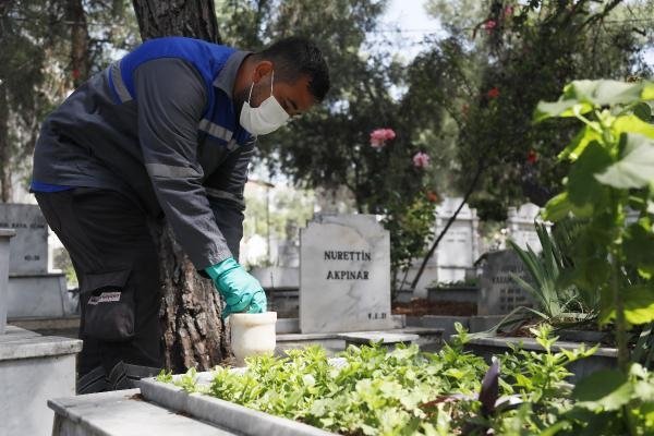 Bu sineğe dikkat: Birçok hastalığa sebep oluyor! 6