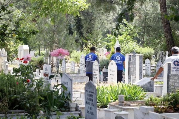 Bu sineğe dikkat: Birçok hastalığa sebep oluyor! 5