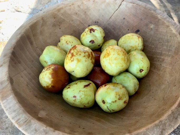 Antik zamanların şifa kaynağı! Yiyenin ömrü uzuyor: Günde 3 tanesi C vitamini depolarını fullüyor 6