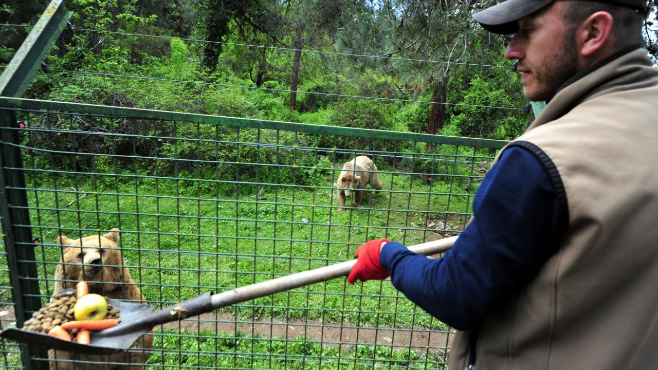 Bu leziz yemekler insanlar için değil! Bakın bu özel fırın kimler için çalışıyor 11