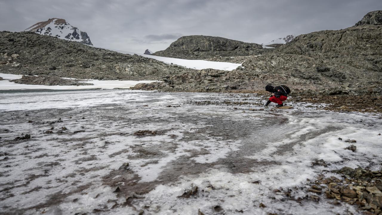 Türk bilim insanları Horseshoe Adası’nın Jeolojik geçmişinin izlerini sürdü 13