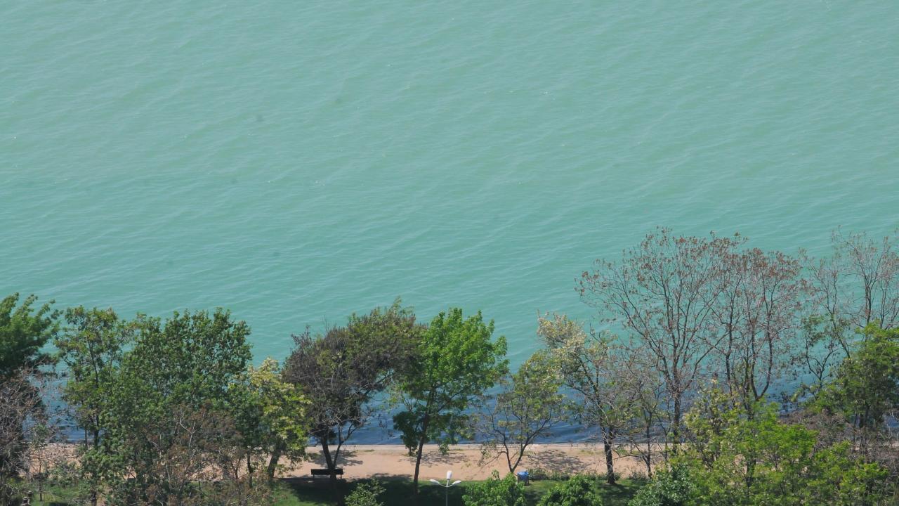 İzmit Körfezi turkuaz renge büründü 6