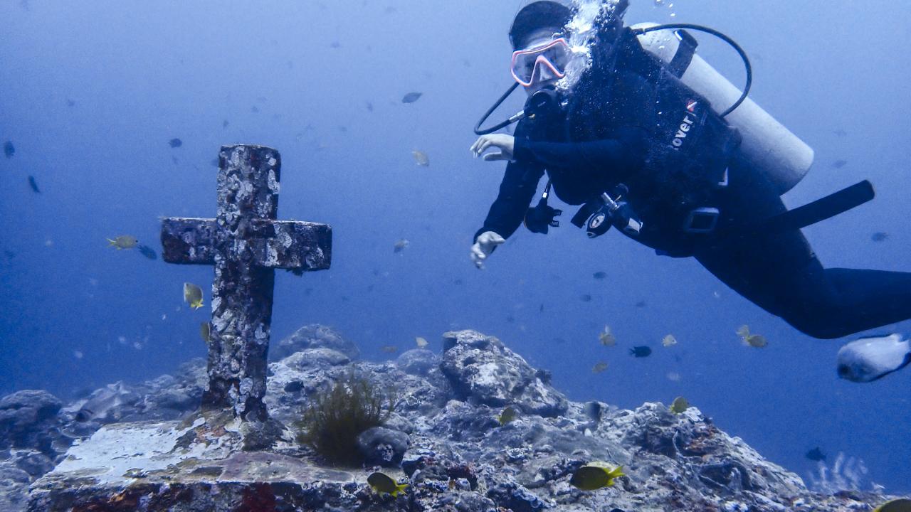 Filipinler'de ender bulunan Dev İstiridye görüntülendi 4