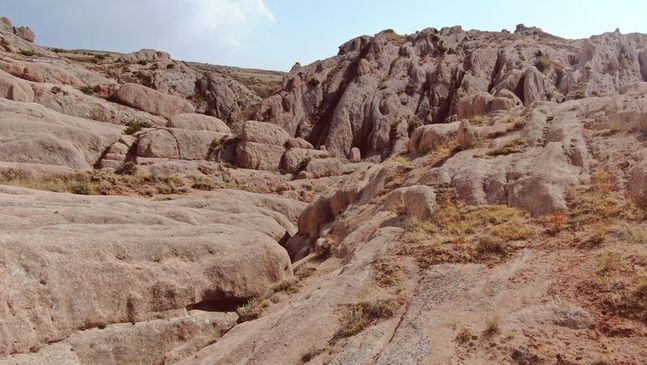 Burası Türkiye'de! Mars böyle yeşertilecek 5
