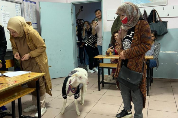 Yurttan seçim manzaraları 3