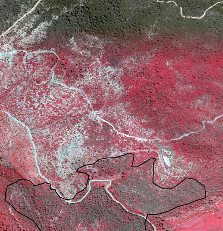 Otağ, depremin hasarını 20 dakikada tespit edecek 10