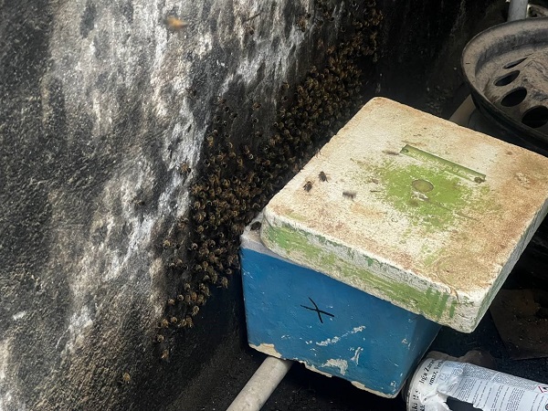 Apar topar ona haber verdi… Dükkanının kapısını açan esnaf şaşkın 4