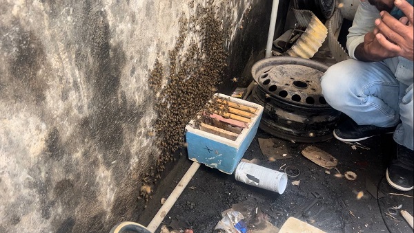 Apar topar ona haber verdi… Dükkanının kapısını açan esnaf şaşkın 2