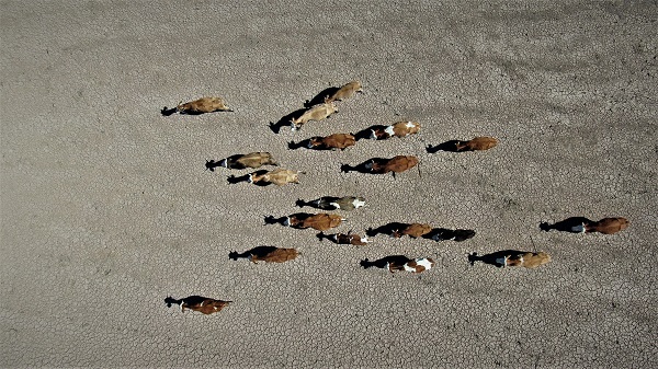 Aradaki farkı bulabilecek misiniz? 2 yıl arayla aynı baraj 2