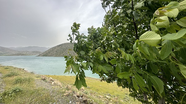 Aradaki farkı bulabilecek misiniz? 2 yıl arayla aynı baraj 10