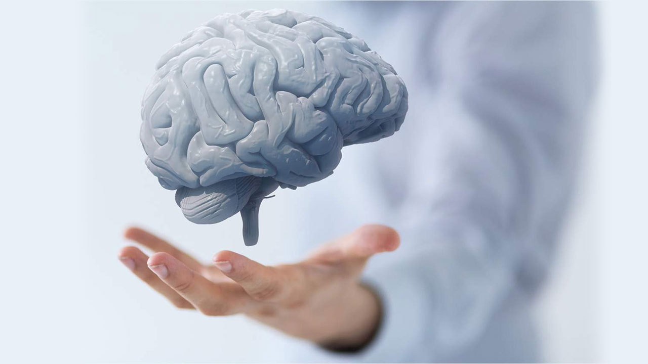 Canan Karatay önerdi! Beyin sağlığı için bu 4 besine dikkat 2