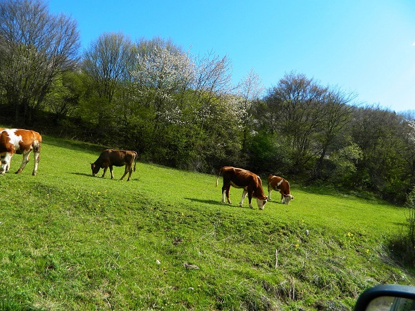 Bir günde 4 mevsim yaşandı 3