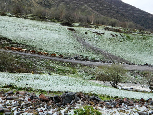 Bir günde 4 mevsim yaşandı 2