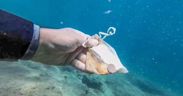 Bu hata denizlere zarar veriyor 6