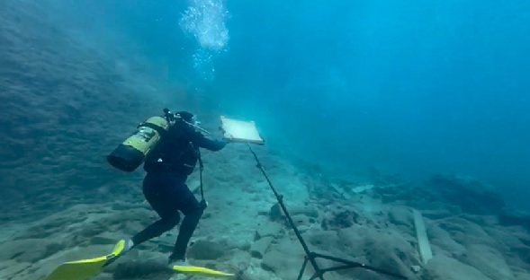 Bu hata denizlere zarar veriyor 3