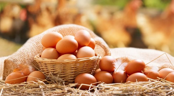 Canan Karatay önerdi! Beyin sağlığı için bu 4 besine dikkat 9