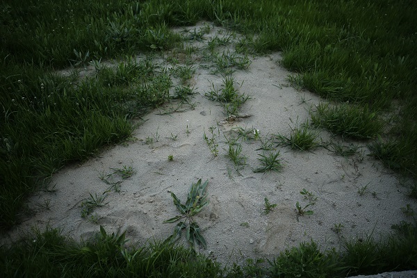 Depremden sonra ortayla çıktı! Evin bodrumundan çıkan suyun sırrı ne? 4