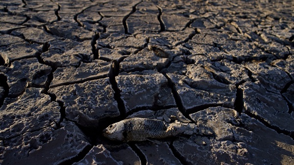 Dünyayı bekleyen büyük tehlike! 2