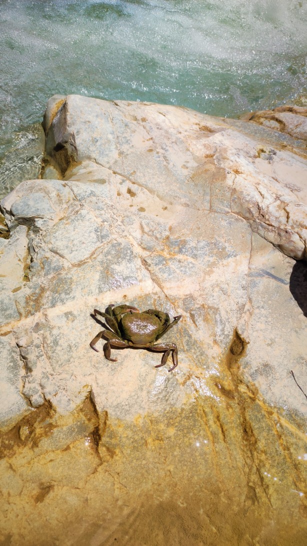 Elazığ'da uydu haritaları incelenirken keşfedildi! Tamı tamına 3 bin yıllık, herkes şaşkına döndü 5