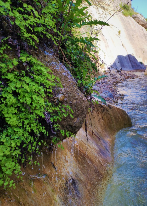 Elazığ'da uydu haritaları incelenirken keşfedildi! Tamı tamına 3 bin yıllık, herkes şaşkına döndü 4