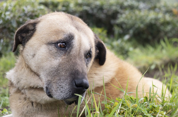 İlk kez duyacaksınız! Türkiye hakkında az bilinen bilgiler 8