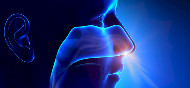 Burundan nefes almanın bu faydalarını duyunca çok şaşıracaksınız! 1