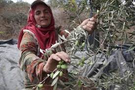 Canan Karatay en sağlıklı meyveyi açıkladı 8
