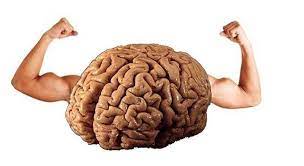 Canan Karatay önerdi! Beyin sağlığı için bu 4 besine dikkat 4