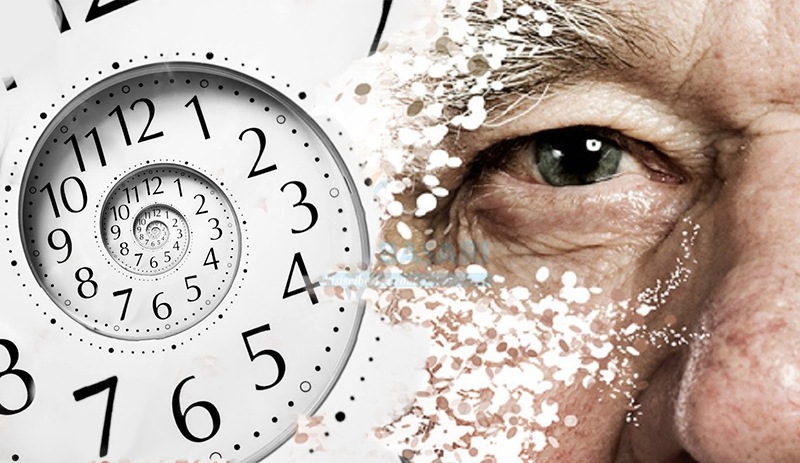 Tarihi keşif: Yaşlılığa çare bulundu… Böyle mi olacak? 1