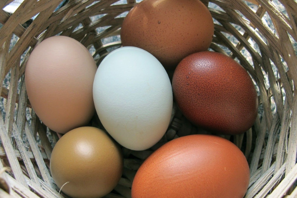 Sabahları kahvaltıda yumurta yiyenler dikkat! Mutlaka ve mutlaka bunu yapın 16