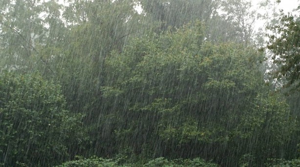 Türkiye için çok ama çok büyük tehlike! Karadeniz'e havadan bıraktılar, ölüme yol açıyor 1