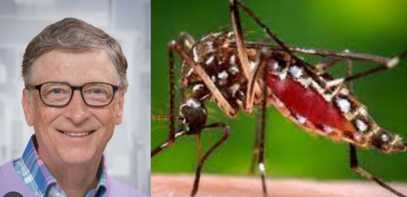 Türkiye için çok ama çok büyük tehlike! Karadeniz'e havadan bıraktılar, ölüme yol açıyor 4