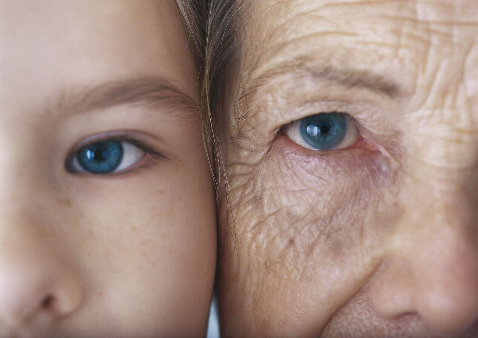 Tarihi keşif: Yaşlılığa çare bulundu… Böyle mi olacak? 2