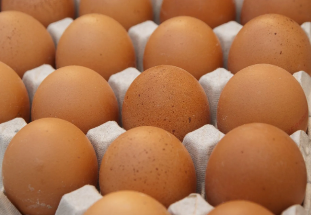 Yumurtaları toprağa gömün 6 hafta bekleyin! Sonuç inanılmaz 4