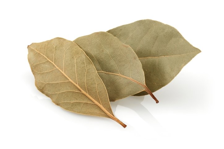 Kronik hastalıkların çaresi bulundu! Binlerce yıllık tedavi doğru çıktı: Ağrıların kökünü kazıyan o bitki... 20