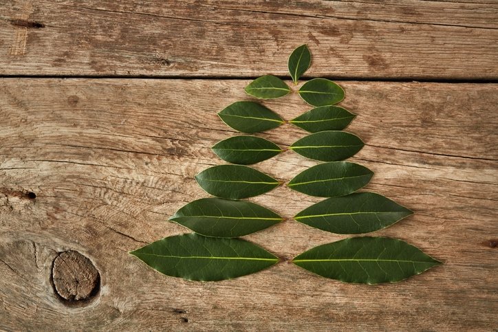 Kronik hastalıkların çaresi bulundu! Binlerce yıllık tedavi doğru çıktı: Ağrıların kökünü kazıyan o bitki... 19