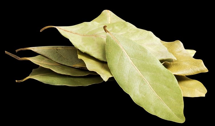 Kronik hastalıkların çaresi bulundu! Binlerce yıllık tedavi doğru çıktı: Ağrıların kökünü kazıyan o bitki... 11