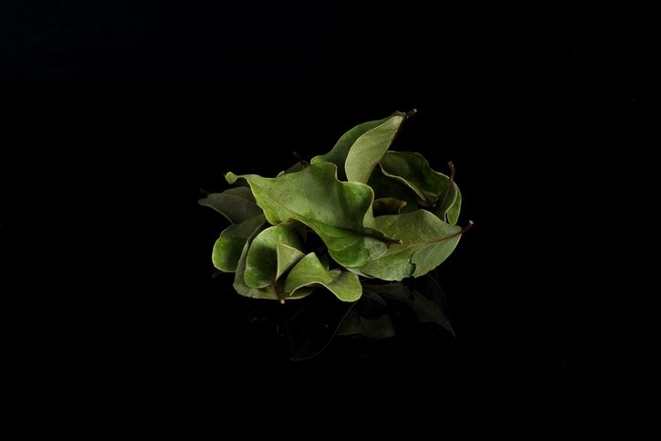 Kronik hastalıkların çaresi bulundu! Binlerce yıllık tedavi doğru çıktı: Ağrıların kökünü kazıyan o bitki... 9