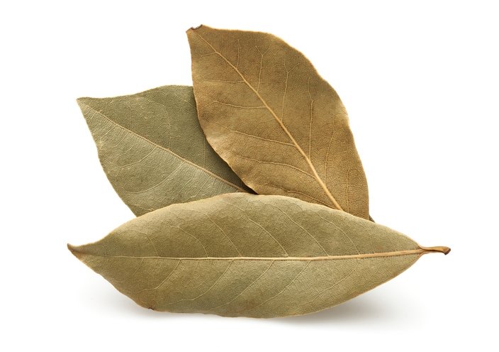 Kronik hastalıkların çaresi bulundu! Binlerce yıllık tedavi doğru çıktı: Ağrıların kökünü kazıyan o bitki... 4