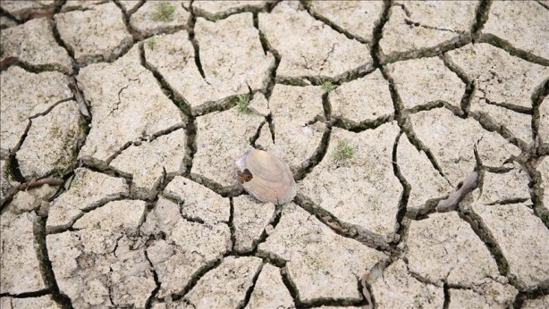 33 ülke tehlikede listede Türkiye’de var! Etkisini göstermeye başladı 2