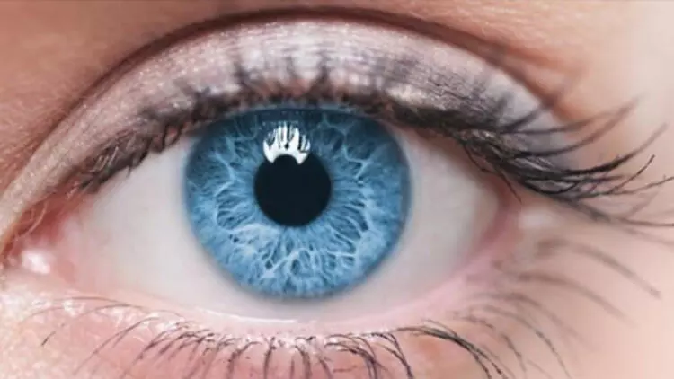 Alkol bağımlılığı göz rengiyle ilgili çıktı! Bakın hangi renk daha yatkın... 6