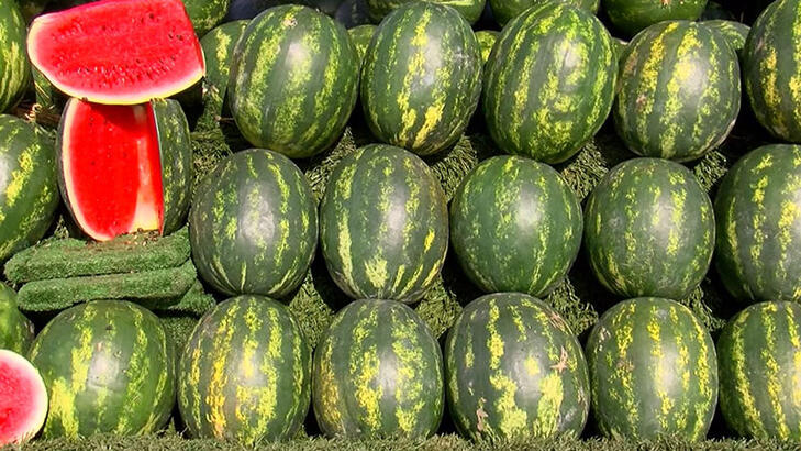 Karpuzun en iyisini seçmek işte bu kadar kolay! 4 püf noktasını bilen yaz boyu en iyi karpuzları yiyecek 5
