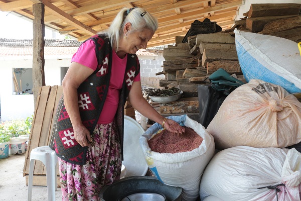 Azteklerin 'Ölümsüzlük bitkisi' Türkiye'de! Çölyak hastaları için yeni alternatif 8