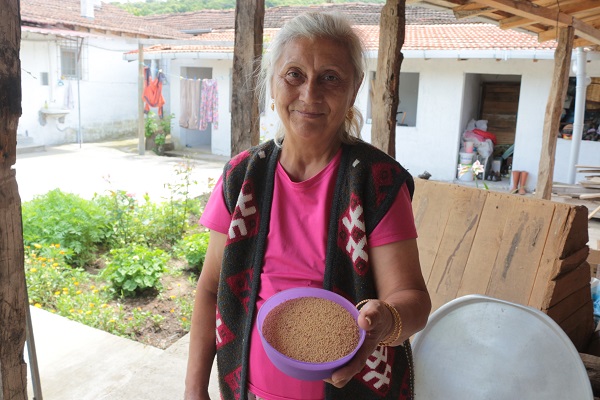 Azteklerin 'Ölümsüzlük bitkisi' Türkiye'de! Çölyak hastaları için yeni alternatif 10