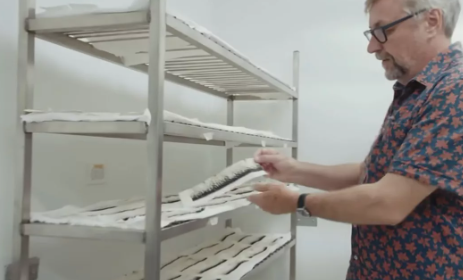 Bill Gates'ten dehşete düşüren proje! Milyonlarca sivrisineği sokaklara bıraktı, herkes kendine dikkat etsin 11